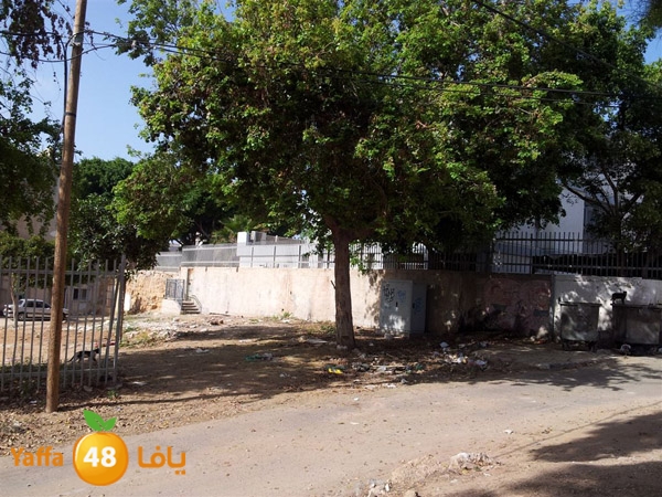 okhouwaqa3sport410 (2).jpg